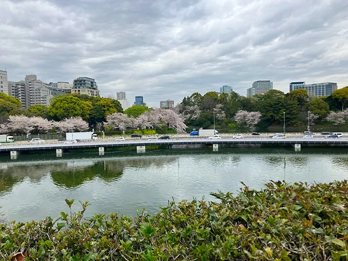フォトスタジオがお休みの日に東京の桜の名所（安くて楽しい）